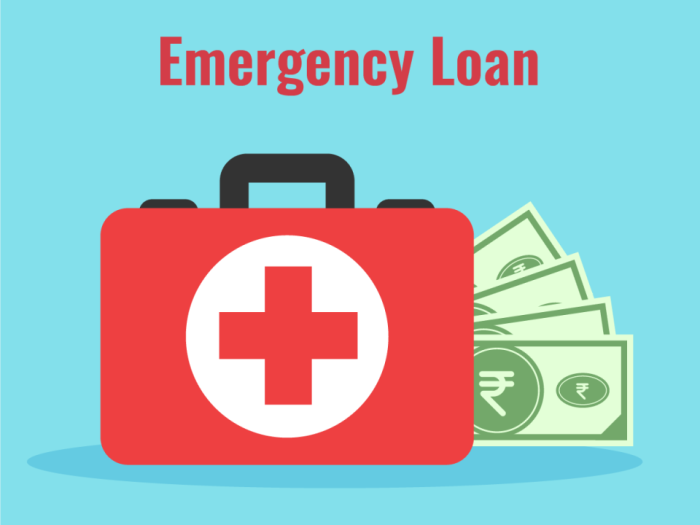 Small Business Emergency Loan Program